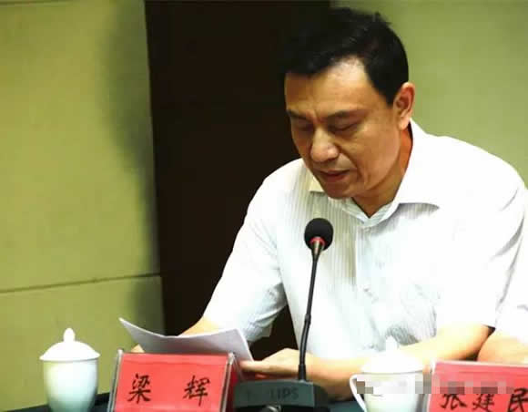 柘城县委书记梁辉致贺词